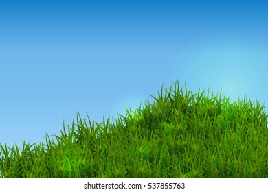Green grass isolated on blue sky background. Eps10.