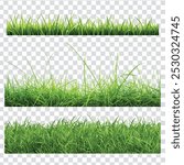 green grass isolated on transparent background