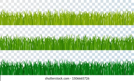 Green grass isolated on a transparent background. Widescreen vector illustration. Different color options. Template for environmental design. Easy editable vector blades of grass, various shapes.