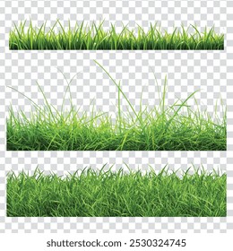 green grass isolated on transparent background