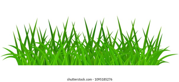 Green grass isolated on white background