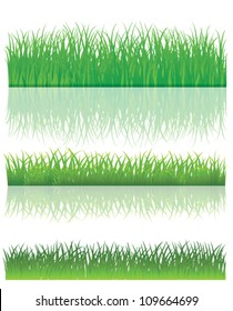Grüner Gras einzeln auf weißem Hintergrund, Vektorgrafik