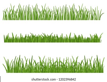 Green Grass isolated on white background. Set of Grass heights design elements of nature. Lawn vector illustration