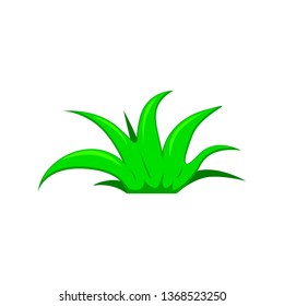 Green grass isolated on white background