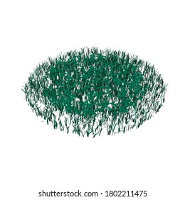 Green grass isolated on white background. Circle of green grass. Isometric view. Vector illustration
