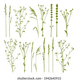 Green grass isolated on white - natural herbs set - herbal silhouettes - elements for spring and summer design