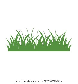 Green Grass Isolated on White Background,flowers