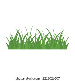 Green Grass Isolated on White Background,flowers