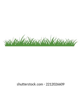 Green Grass Isolated on White Background,flowers