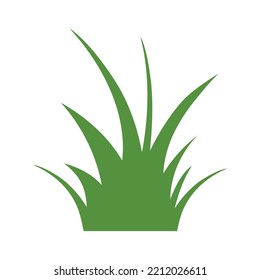 Green Grass Isolated on White Background,flowers