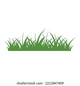 Green Grass Isolated on White Background,flowers