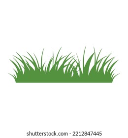 Green Grass Isolated on White Background,flowers