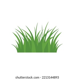Grüne Gras einzeln auf weißem Hintergrund, Blumen