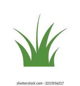 Green Grass Isolated on White Background,flowers