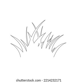 Green Grass Isolated on White Background,flowers
