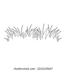 Green Grass Isolated on White Background,flowers