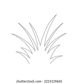 Green Grass Isolated on White Background,flowers