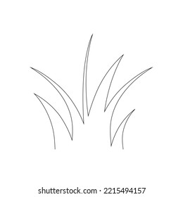 Green Grass Isolated on White Background,flowers