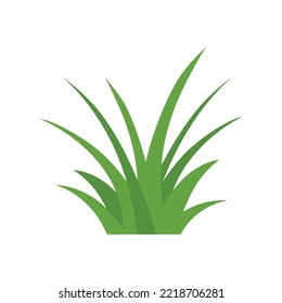 Green Grass Isolated on White Background,flowers