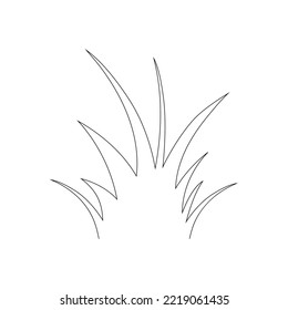 Green Grass Isolated on White Background,flowers