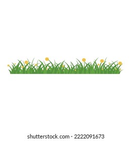 Green Grass Isolated on White Background,flowers
