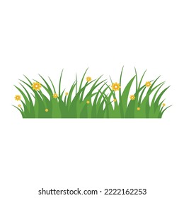 Green Grass Isolated on White Background,flowers