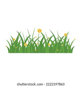 Green Grass Isolated on White Background,flowers