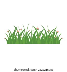 Green Grass Isolated on White Background,flowers