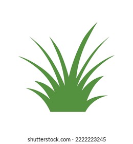 Green Grass Isolated on White Background,flowers