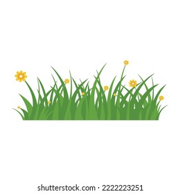 Green Grass Isolated on White Background,flowers