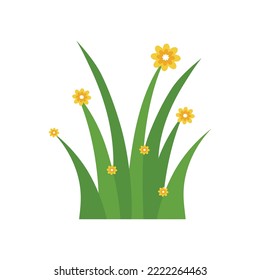 Green Grass Isolated on White Background,flowers