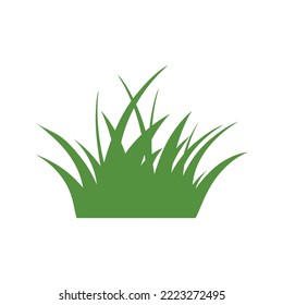 Green Grass Isolated on White Background,flowers