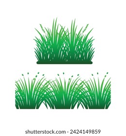 Green grass isolated on white background