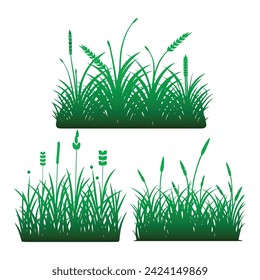 Green grass isolated on white background
