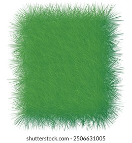 Hierba verde aislada sobre fondo blanco. Ilustración vectorial. Eps 10.
