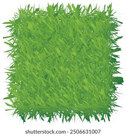 Green grass isolated on white background. Vector illustration. Eps 10.