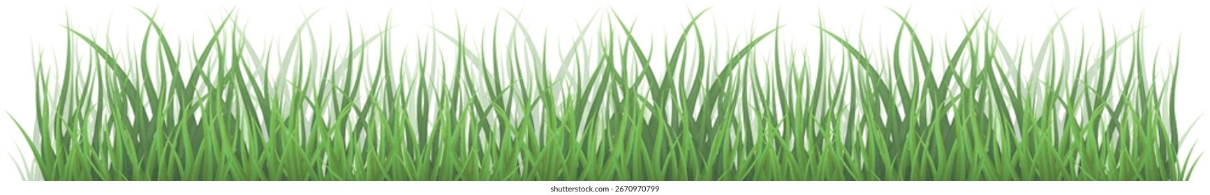 Grama Verde. Grama isolada sobre fundo branco, ilustração vetorial