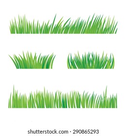Green Grass, Isolated On White Background, Vector Illustration