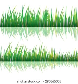 Grasa Verde, Aislada En Fondo Blanco, Ilustración Vectorial