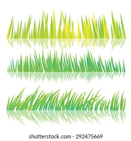 Green Grass, Isolated On White Background, Vector Illustration