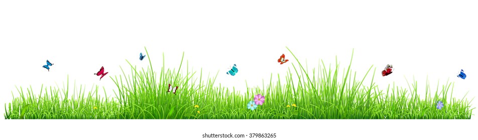 Green grass isolated on white background with flowers and butterflies. Vector illustration