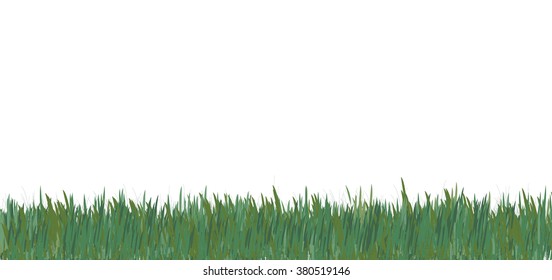the green grass isolated on white vector image