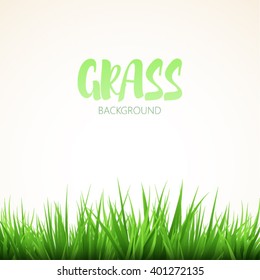 Green grass isolated on white background
