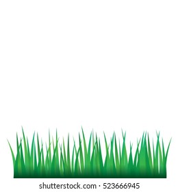 Green Grass, Isolated On White Background, Vector Illustration
