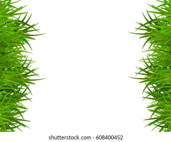 Green grass isolated on white background with space for text. Vector Illustration