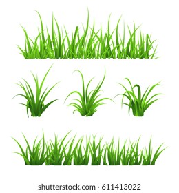 Green grass, isolated on white background, vector illustration