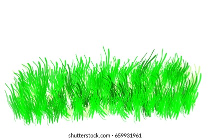 Green grass isolated on white backgraund