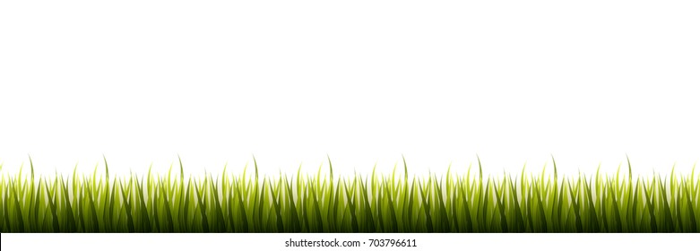 Green grass isolated on white background boarder for web Vector Illustration