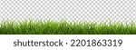 Green Grass Isolated Transparent background , Vector Illustration