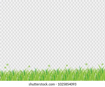 green grass isolated from a transparent background Vector Illustration for Card artwork design & Magazine 
